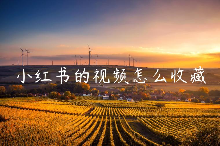 小红书的视频怎么收藏 小红书的视频怎么收藏