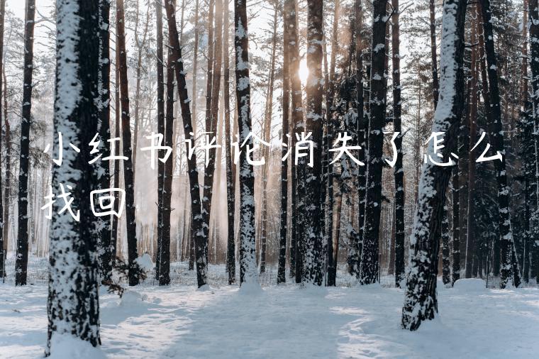 小红书评论消失了怎么找回 小红书评论消失了怎么找回