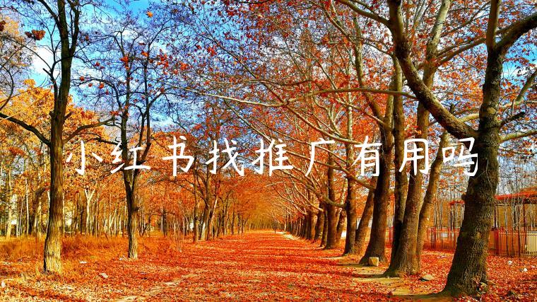小红书找推广有用吗 小红书找推广有用吗
