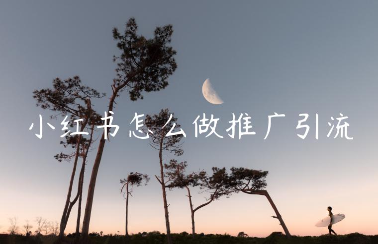 小红书怎么做推广引流 小红书怎么做推广引流