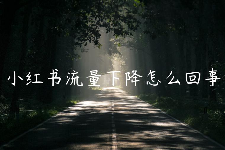 小红书流量下降怎么回事 小红书流量下降怎么回事