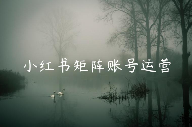 小红书矩阵账号运营 小红书矩阵账号运营