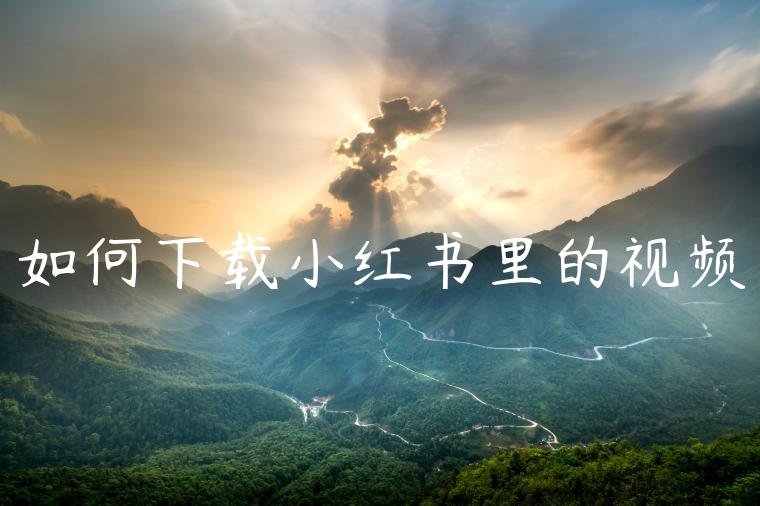 如何下载小红书里的视频