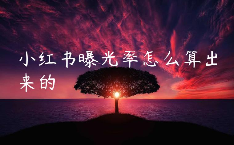 小红书曝光率怎么算出来的