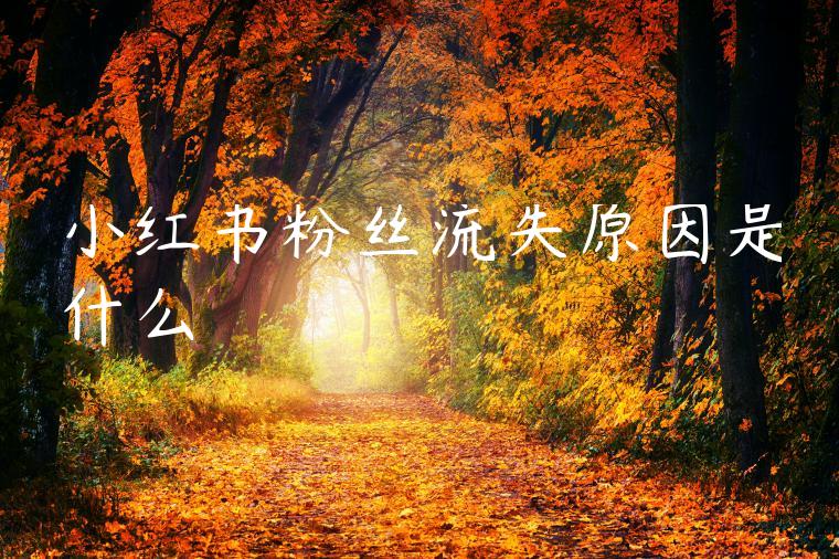 小红书粉丝流失原因是什么