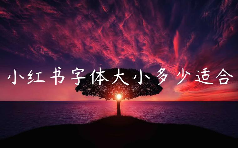小红书字体大小多少适合 小红书字体大小多少适合
