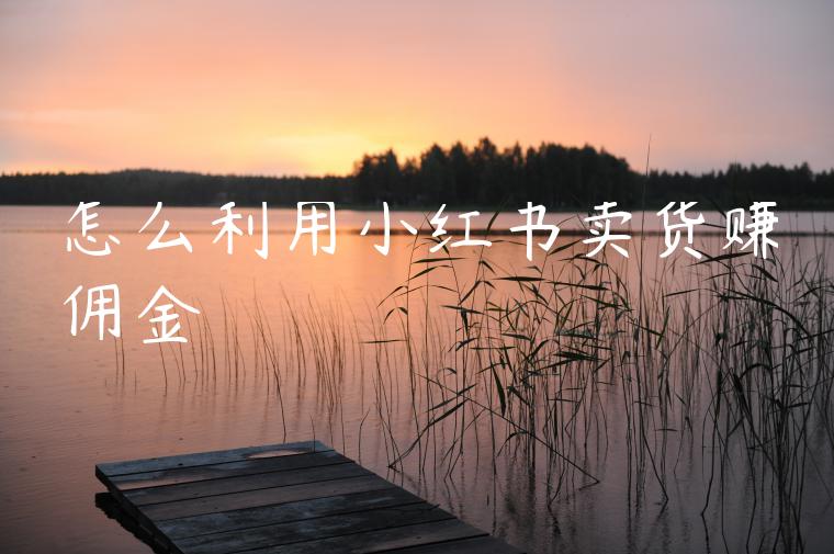 怎么利用小红书卖货赚佣金