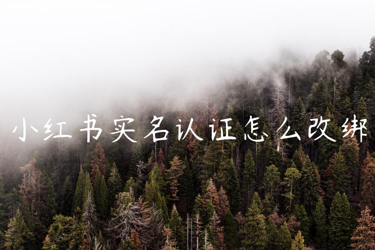 小红书实名认证怎么改绑