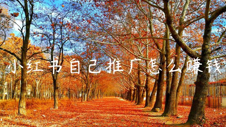 小红书自己推广怎么赚钱 小红书自己推广怎么赚钱