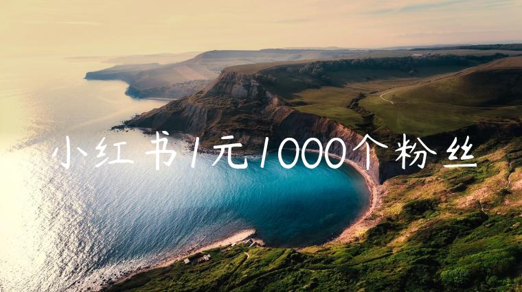 小红书1元1000个粉丝