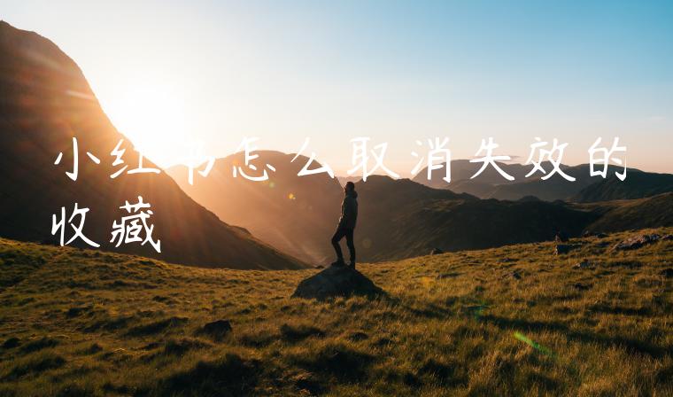 小红书怎么取消失效的收藏 小红书怎么取消失效的收藏