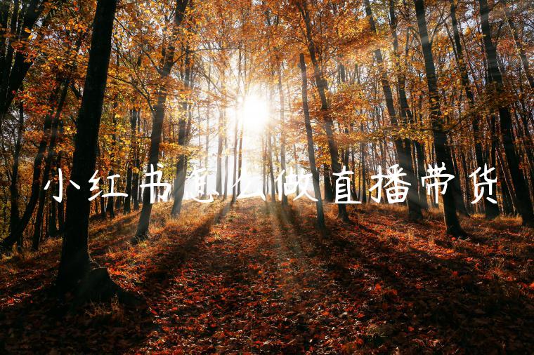 小红书怎么做直播带货