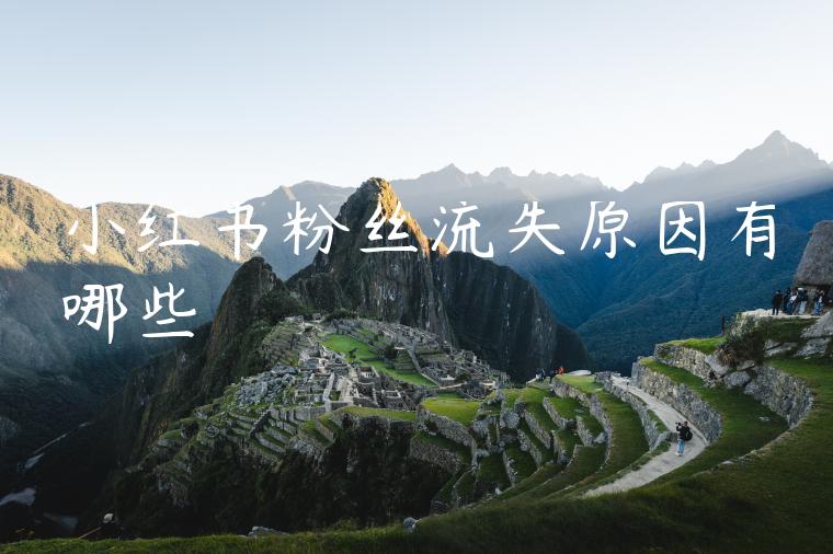 小红书粉丝流失原因有哪些