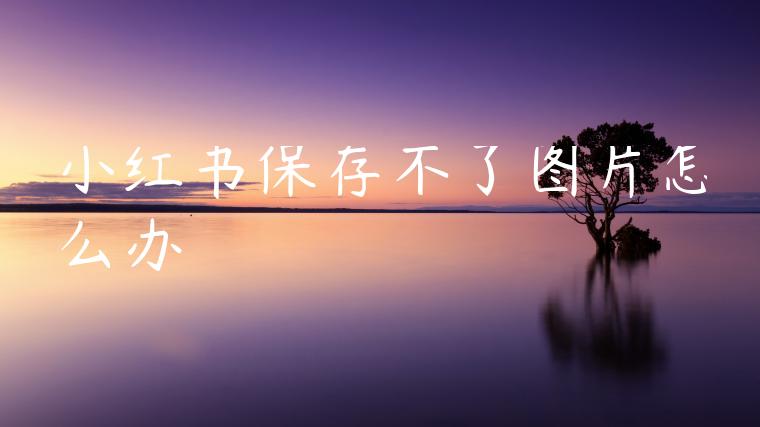 小红书保存不了图片怎么办 小红书保存不了图片怎么办