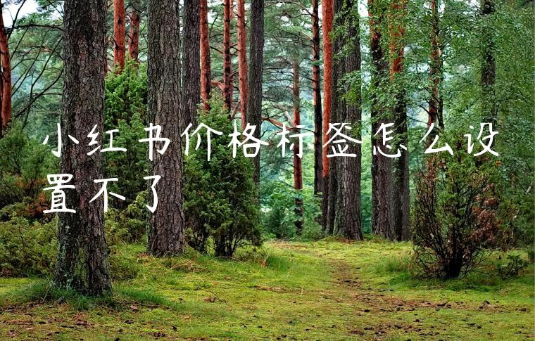 小红书价格标签怎么设置不了 小红书价格标签怎么设置不了