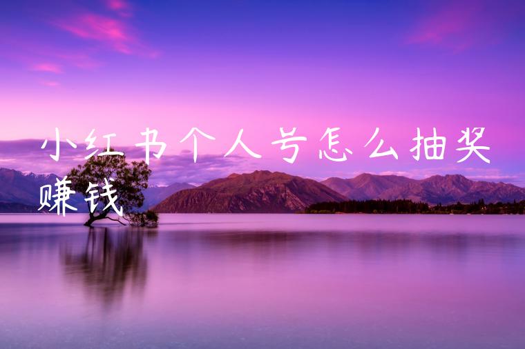 小红书个人号怎么抽奖赚钱 小红书个人号怎么抽奖赚钱