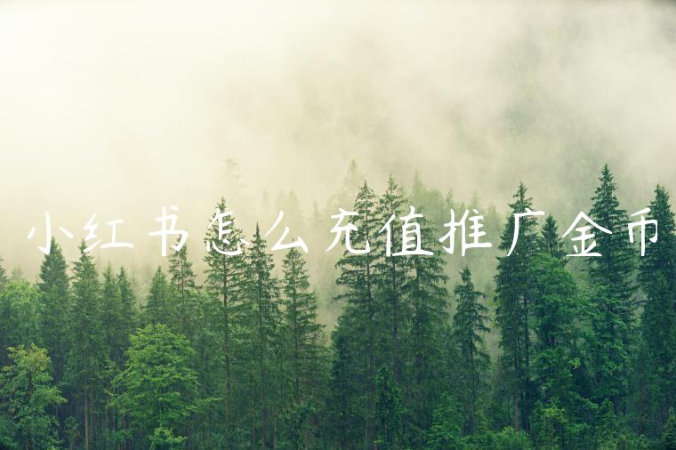 小红书怎么充值推广金币 小红书怎么充值推广金币