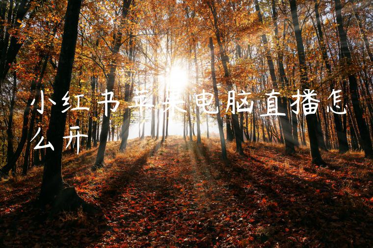 小红书苹果电脑直播怎么开 小红书苹果电脑直播怎么开