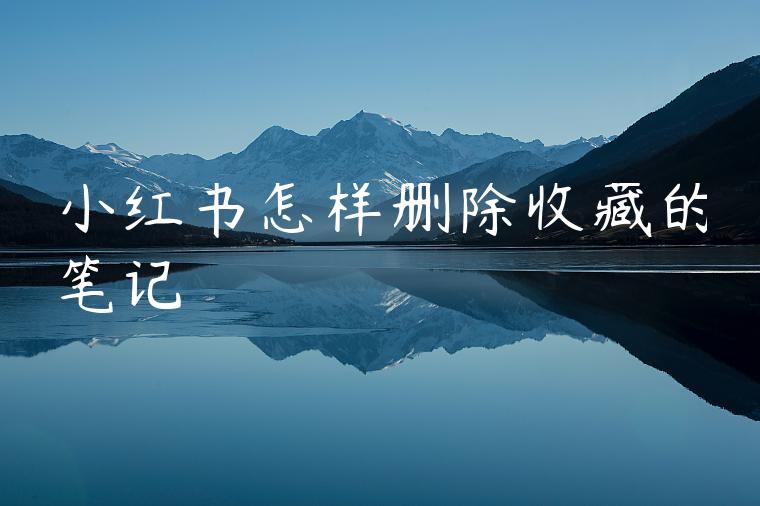 小红书怎样删除收藏的笔记 小红书怎样删除收藏的笔记