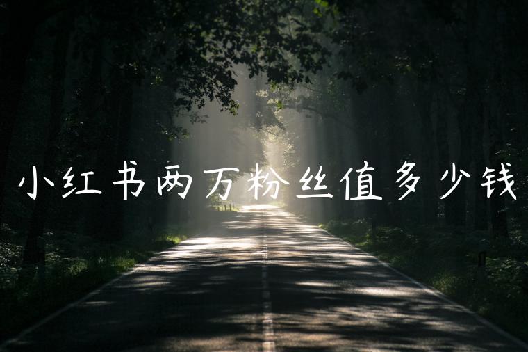 小红书两万粉丝值多少钱