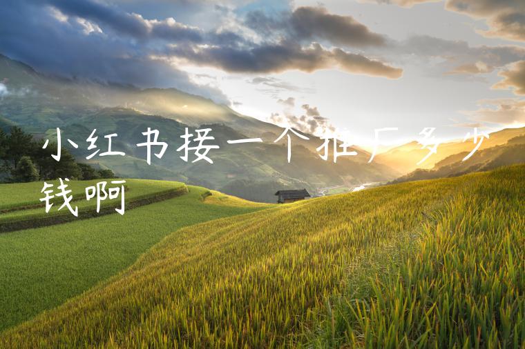 小红书接一个推广多少钱啊