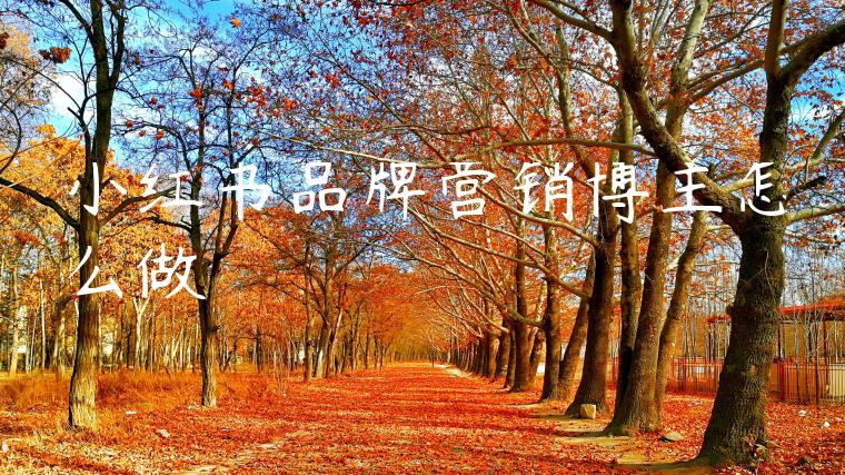 小红书品牌营销博主怎么做 小红书品牌营销博主怎么做