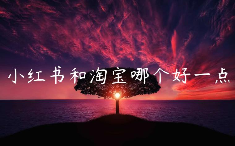 小红书和淘宝哪个好一点 小红书和淘宝哪个好一点