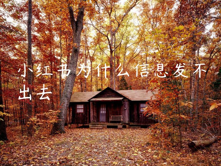 小红书为什么信息发不出去