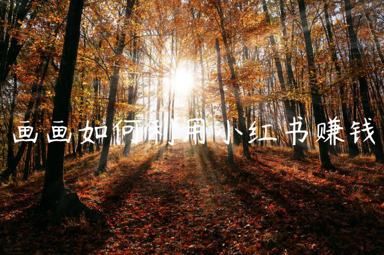 画画如何利用小红书赚钱 画画如何利用小红书赚钱