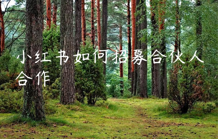 小红书如何招募合伙人合作 小红书如何招募合伙人合作