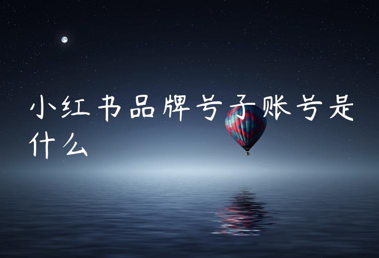 小红书品牌号子账号是什么 小红书品牌号子账号是什么