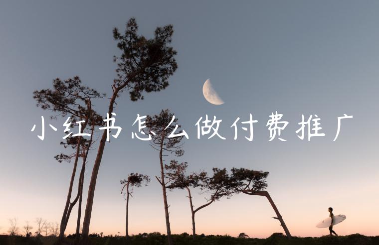 小红书怎么做付费推广