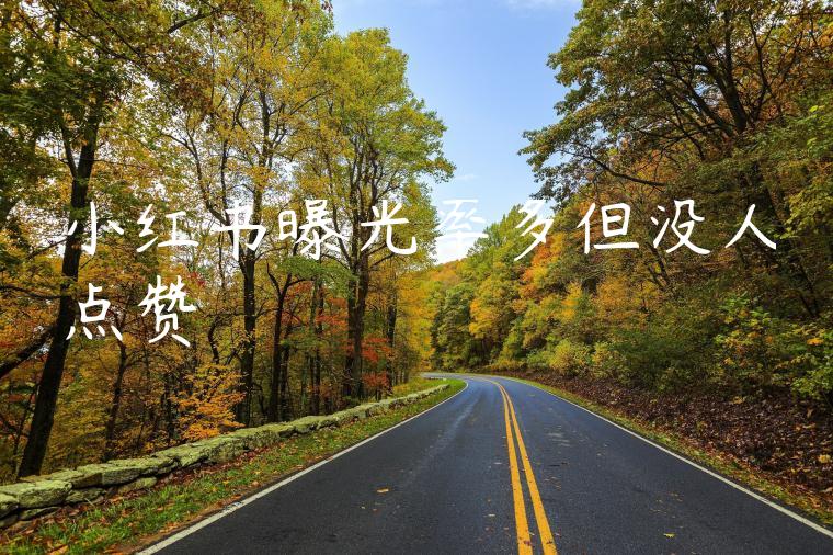 小红书曝光率多但没人点赞