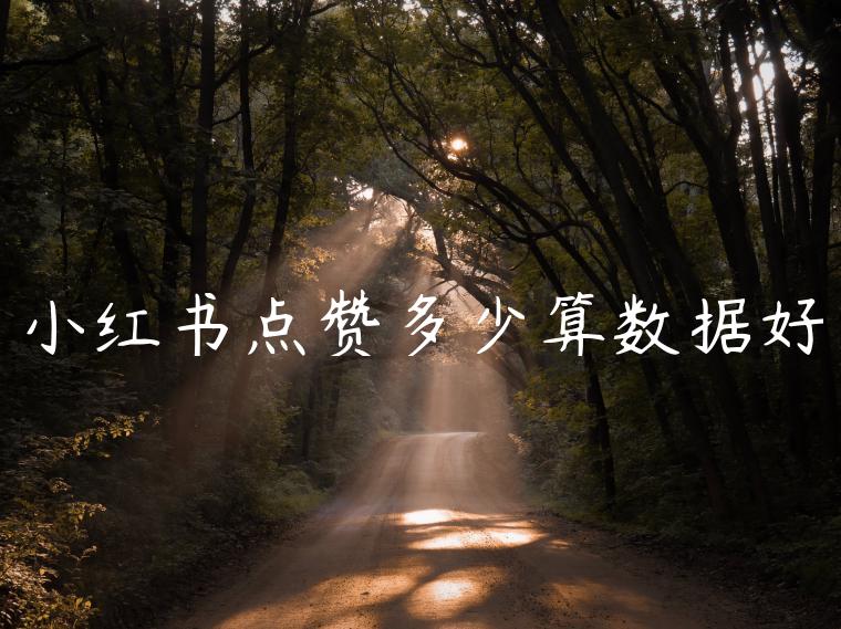 小红书点赞多少算数据好