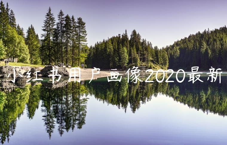 小红书用户画像2020最新 小红书用户画像2020最新