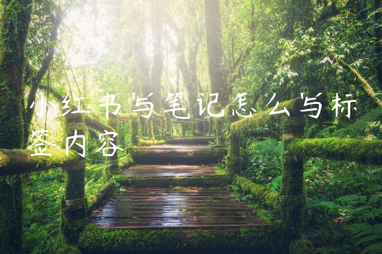 小红书写笔记怎么写标签内容