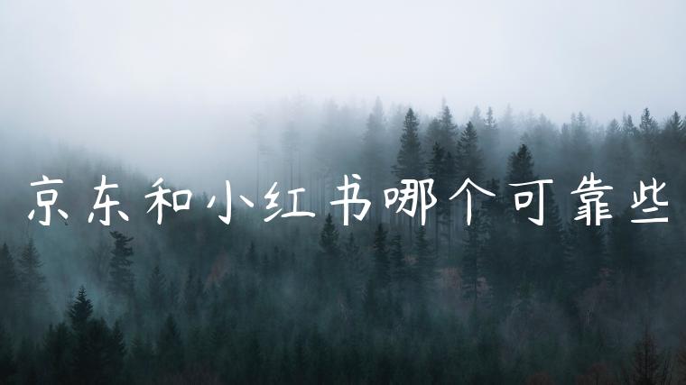 京东和小红书哪个可靠些
