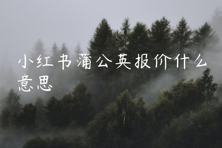 小红书蒲公英报价什么意思