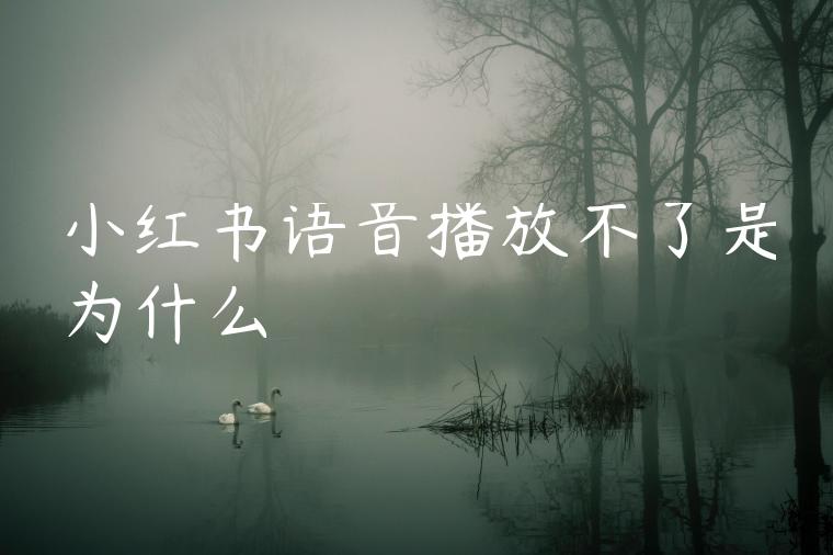 小红书语音播放不了是为什么