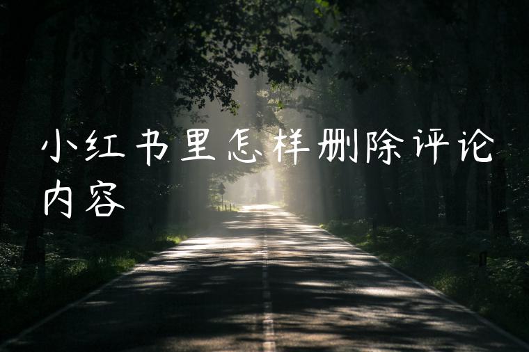 小红书里怎样删除评论内容 小红书里怎样删除评论内容