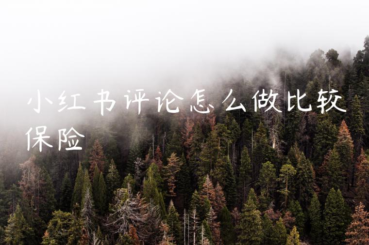 小红书评论怎么做比较保险 小红书评论怎么做比较保险
