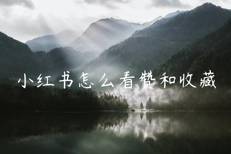 小红书怎么看赞和收藏 小红书怎么看赞和收藏