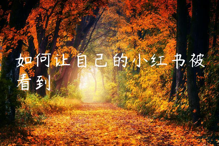 如何让自己的小红书被看到