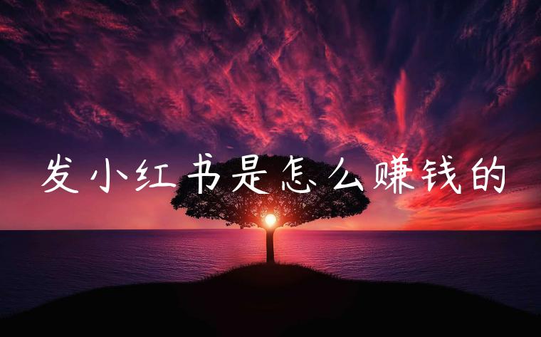 发小红书是怎么赚钱的