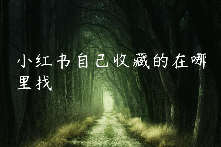 小红书自己收藏的在哪里找