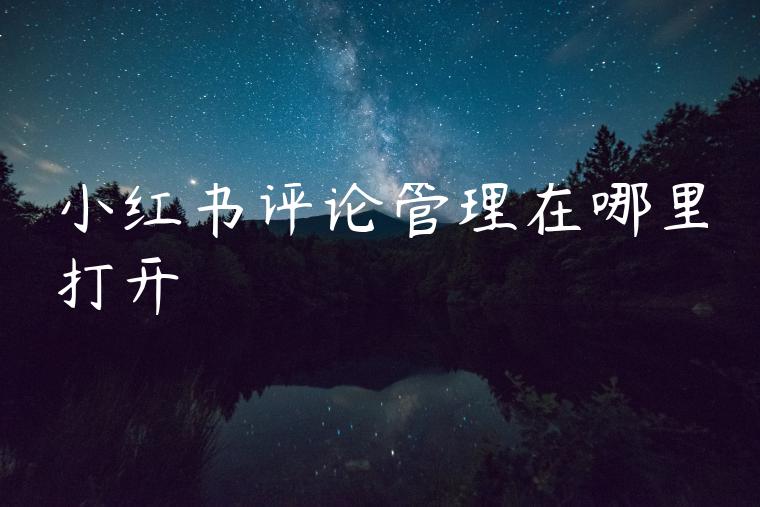 小红书评论管理在哪里打开
