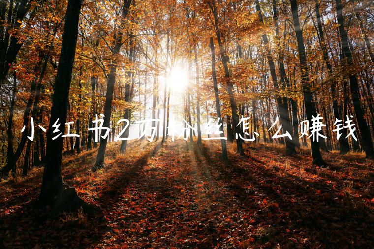 小红书2万粉丝怎么赚钱