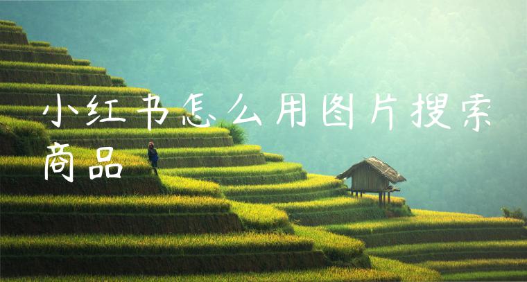 小红书怎么用图片搜索商品