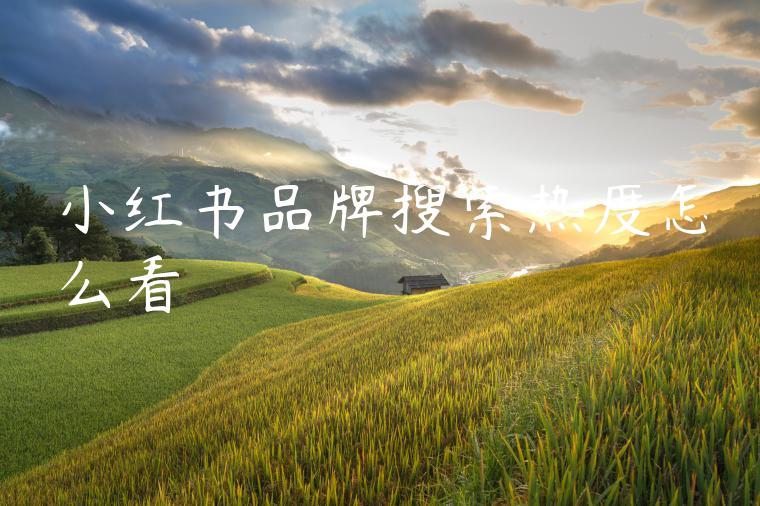 小红书品牌搜索热度怎么看 小红书品牌搜索热度怎么看