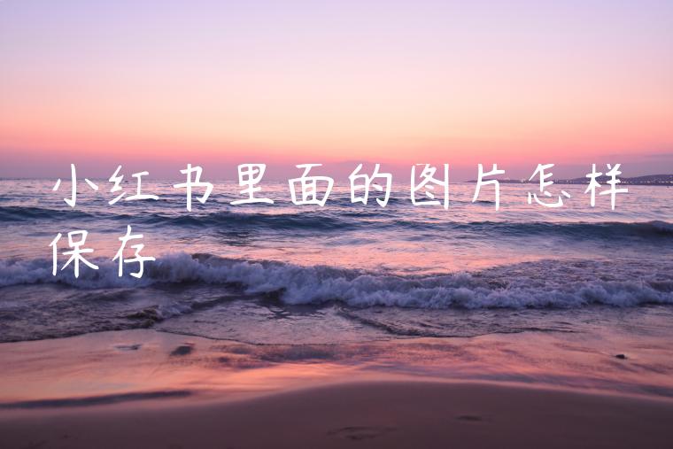 小红书里面的图片怎样保存